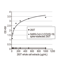 SARS-CoV-2 (COVID-19) Spike S1 antibody [HL6]