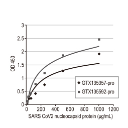 SARS-CoV-2 (COVID-19) nucleocapsid antibody [HL344]