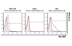 Anti-EpCAM antibody [HL1524] used in Flow cytometry (FACS). GTX636998
