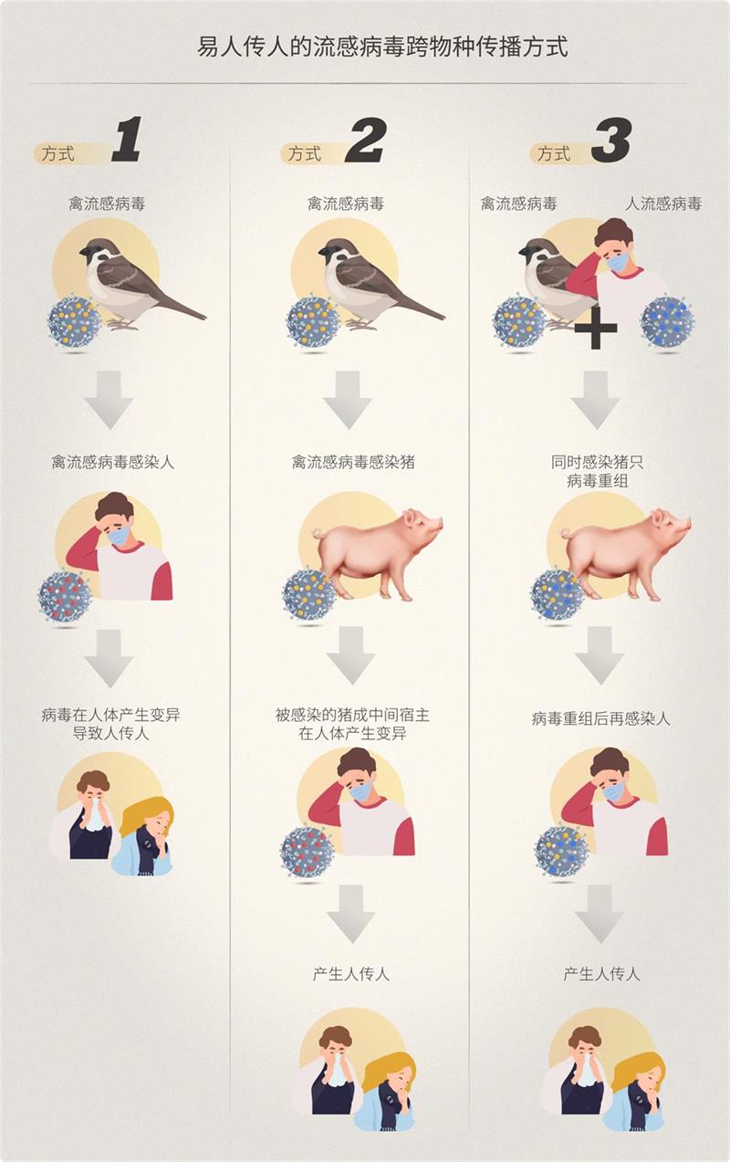 (图三):病毒跨物种传播方式