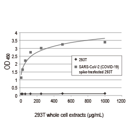 SARS-CoV-2 (COVID-19) Spike S1 antibody [HL6] (GTX635654)