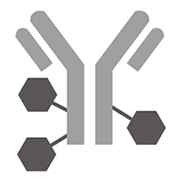 Antibody Conjugation Service