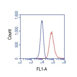 Flow cytometry analysis of U937 cells stained with secondary antibody only (GTX213110-04) (Blue) or CD97 antibody [HL1925] (GTX637674) (Red).