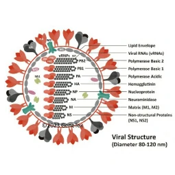 GeneTex Influenza Reagent Catalog