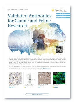 Validated Antibodies for Canine and Feline Research