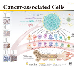 Cacner-associated Cells
