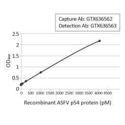 ASFV p54 antibody [HL1218] (GTX636562)