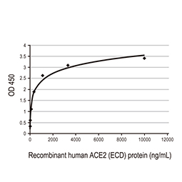 SARS-CoV-2 (COVID-19) Spike RBD protein, His tag (active)