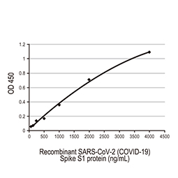 SARS-CoV-2 (COVID-19) Spike S1 protein, His and Avi tag (active)