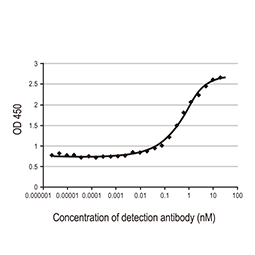 SARS-CoV-2 (COVID-19) Spike S1 antibody [HL6]