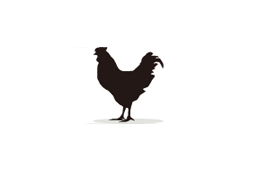 Chicken Immunoglobulins