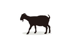 Goat Immunoglobulins