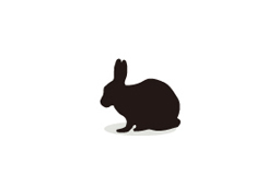 Rabbit Immunoglobulins