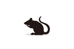 Rat Immunoglobulins