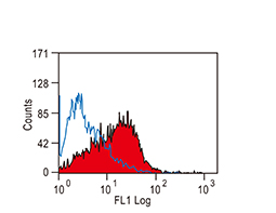 CD86 antibody [24F]