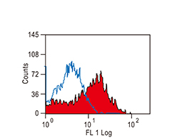 4-1BB / CD137 antibody [17B5] (FITC)