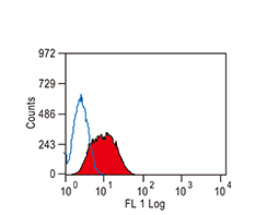 TIM-3 antibody [RMT3-23] (FITC)
