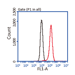 CD44 antibody [GT981] (GTX628472)