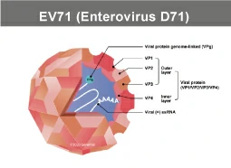 Enterovirus 71