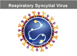 Respiratory Syncytial Virus