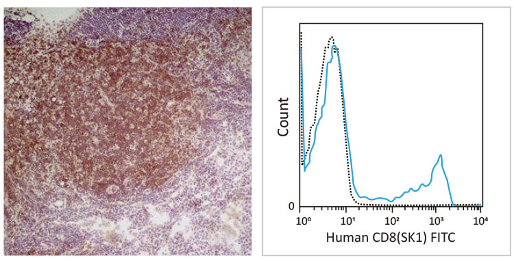 CD4 antibody [GK1.5] (GTX44531)-CD8 antibody [SK1] (FITC) (GTX01468-06)