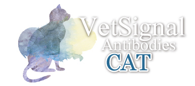 VetSignal Antibodies Cat