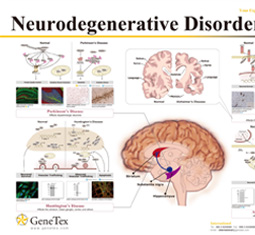 神经退行性疾病