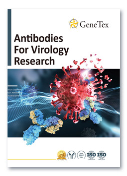 Antibodies For Virology Research