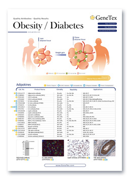 Obesity/ Diabetes
