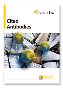 Cited Antibodies