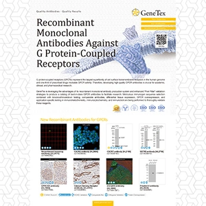 Recombinant Antibodies for G Protein-Coupled Receptors (GPCRs)