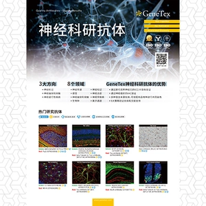 神经科研抗体