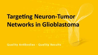 Targeting Neuron-Tumor Networks in Glioblastoma
