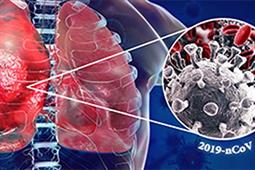 2019 新型冠状病毒