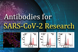 IHC- and FCM-validated Antibodies for SARS-CoV-2 Research