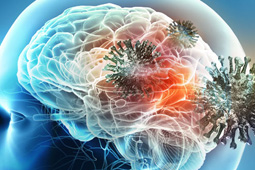 SARS-CoV-2 can infect the human brain