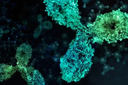 E3 Ligase UBE3A Detection with GeneTex’s New Recombinant Antibody