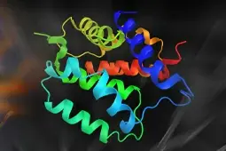 GeneTex's New S100 beta Recombinant Monoclonal Antibody