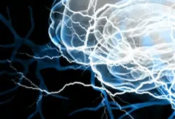 Article Alert: Reactive Astrocyte-Secreted HSPB1 is Neuroprotective in Alzheimer's disease