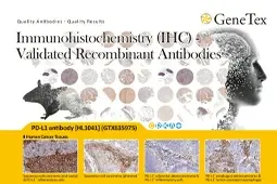 IHC-Validated Recombinant Antibodies