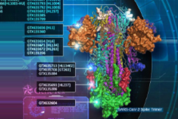 SARS-CoV-2 (COVID-19) 抗体和试剂