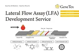 Lateral Flow Assay (LFA)  Development Service