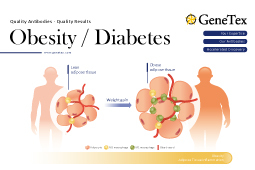 Obesity & Diabetes