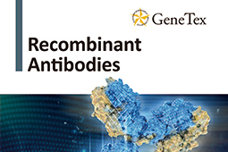 小冊 - Recombinant Antibodies