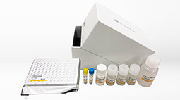GeneTex SARS-CoV-2 (COVID-19) 核衣壳蛋白夹心ELISA试剂盒