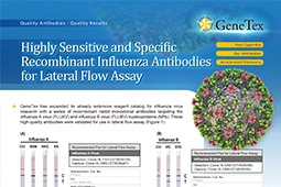 Highly Sensitive and Specific Recombinant Influenza Antibodies for Lateral Flow Assay