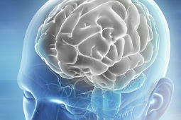 研究报告指出，脑脊髓液中可溶性TREM2升高能减缓AD或轻度认知障碍。