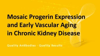 Mosaic Progerin Expression and Early Vascular Aging in Chronic Kidney Disease