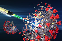 mRNA Vaccine-induced Antibody Profiles against SARS-CoV-2 Variants