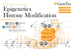 组蛋白修饰